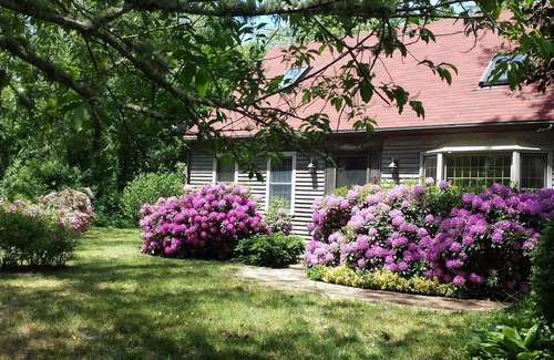 Eastham Casa | La casa del cabo de Eastham