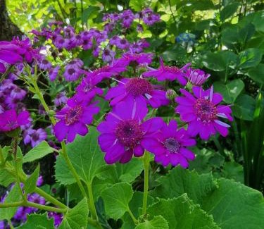 Hapuku Casa | The Entire Mangamaunu Retreat