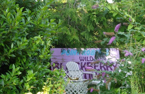 Point Roberts Cabaña | The Garden Cottage ... Paso atrás en el tiempo - Experimenta la naturaleza - con espíritu creativo