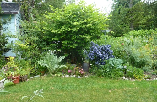 Point Roberts Cabaña | The Garden Cottage ... Paso atrás en el tiempo - Experimenta la naturaleza - con espíritu creativo