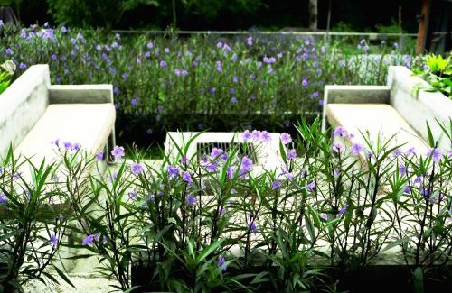 Alfonso Casa | The Getaway Bailen