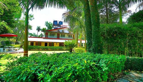 Champawat Hotel | The Golden Leaves Cafe And Cottages