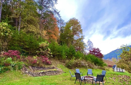 Rogersville Cabina | The Haven at Beech Creek