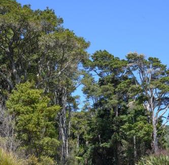 Kaipara Flats Casa | The Hen House