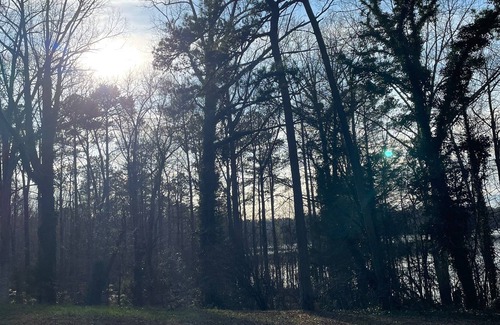 Hampton Casa | The Hidden Lake Oasis