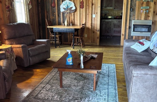 Mountain View Cabina | The Hilltop Cabins - Music Room