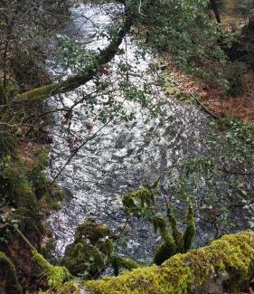 Vitina Apartamento | The house on the road of Love