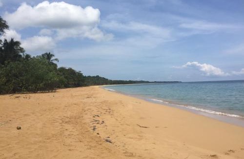 Bocas del Toro Hotel | The Hummingbird