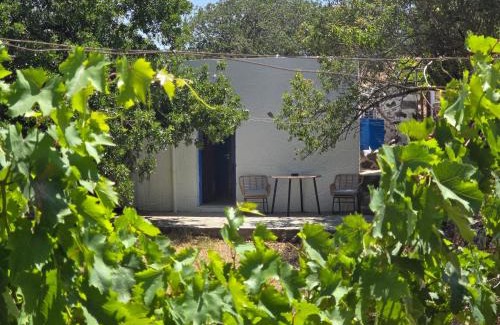 Nisyros Apartamento | The Krani