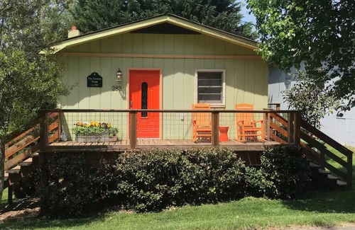 Mars Hill Casa | The Lemon Drop. 💛A Pup’s Dream Vacay!