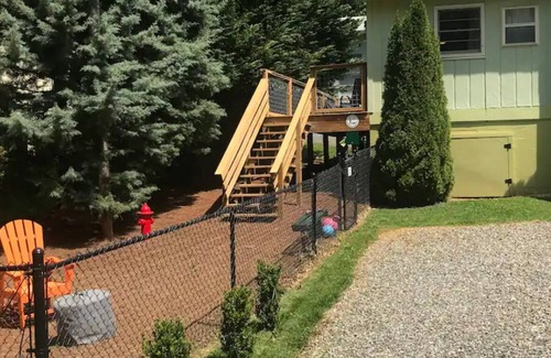 Mars Hill Casa | The Lemon Drop. 💛A Pup’s Dream Vacay!