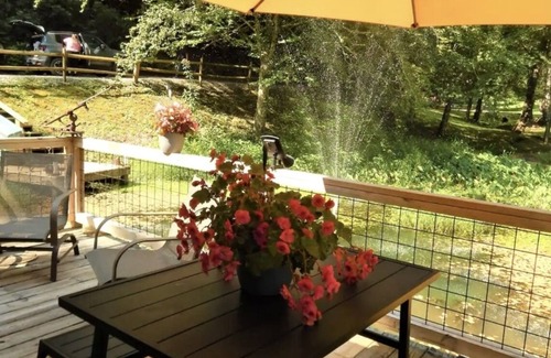 Otto Cabina | The Lily Pad GEM Hideaway! Perfect honeymoon/Anniversary spot! FLAT driveway