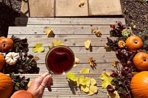 Moffat Chalet De Esquí | The little shepherds hut