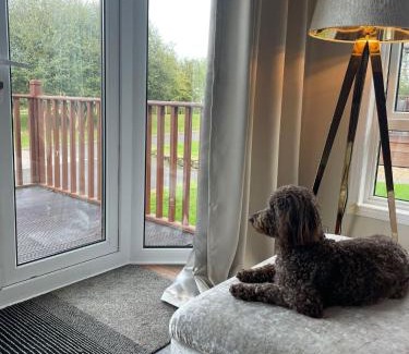 Berwick-upon-Tweed Complejo | The Lodge at Haggerston Castle