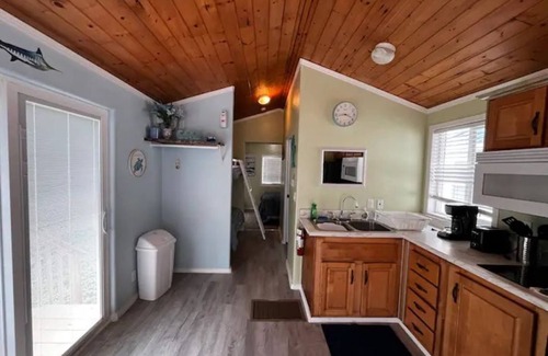 Harlingen Cabina | The Majestic Marlin, with Pool!