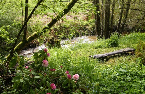 Saint-Avit-de-Tardes Casa | El molino de chet