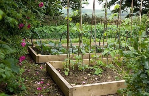 Hexham Cabaña | Rural-Baño en la habitacion-The Old Byre
