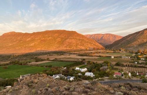 Prince Albert Villa | The Olive House, Prince Albert