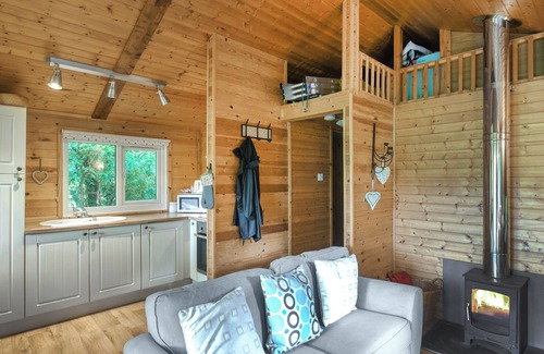 Machynlleth Cabaña | The Owl's Nest - UK50546