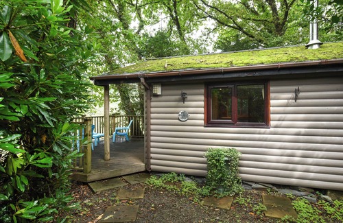 Machynlleth Cabaña | The Owl's Nest - UK50546