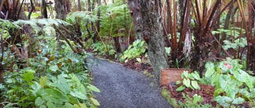 Volcano Hotel | The Pacifica Inn