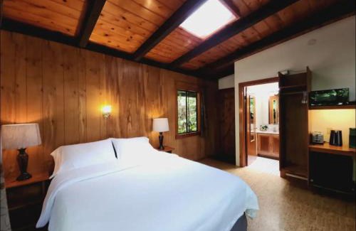 Volcano Hotel | The Pacifica Inn
