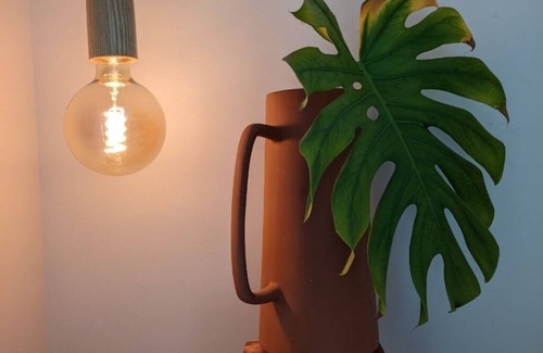 Seminole Heights Cabaña | The Pink Cottage: Old Charm with new Amenities