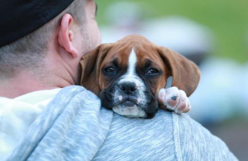 East Kootenay Apartamento | The Residences at Fairmont Ridge