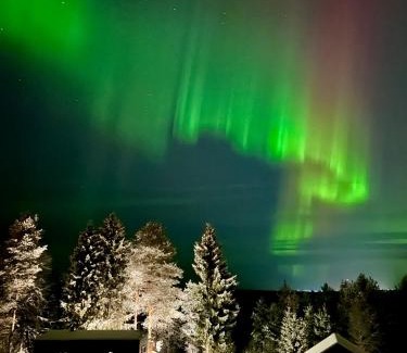 Rovaniemi Casa | The Saunacabin Enchanted Lapland