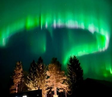 Rovaniemi Casa | The Saunacabin Enchanted Lapland