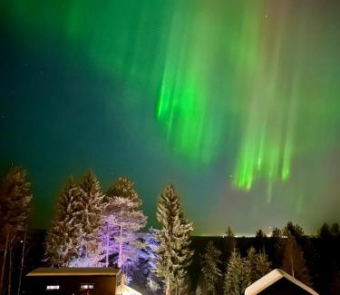 Rovaniemi Casa | The Saunacabin Enchanted Lapland