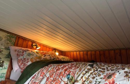 Enniskillen Otro | The Skewbald