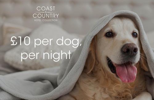 St Ives Hotel | The St Ives Bay Hotel