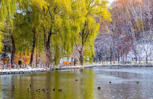 Toyohira Casa | THE SUN