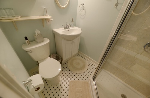 Canandaigua Cama Y Desayuno | The Susan B.-Habitacion Doble-King-Baño privado con ducha