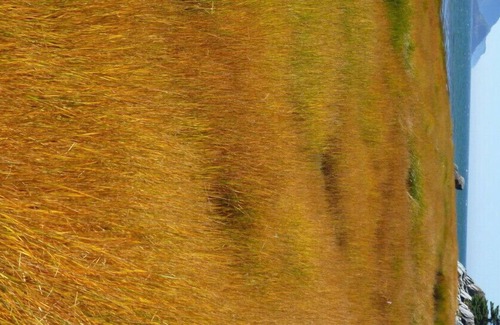 Saint-Fabien Casa | El hogar dulce (2 minutos en National Bic Park)