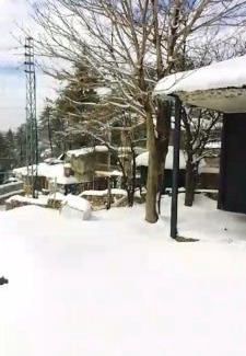 Murree Chalet De Esquí | The Teal Cottage