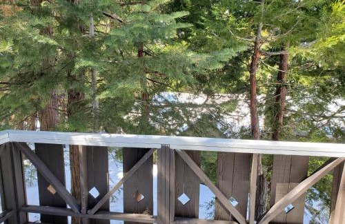 Twin Peaks Hotel | The Treetop Terrace at The Historic Arrowhead Lodge