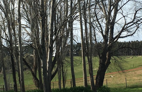 Merino Casa | The ultimate farm retreat- reset and unwind!