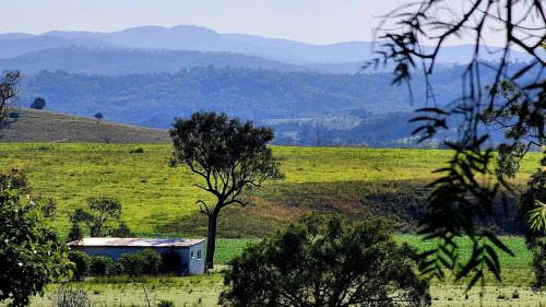 Mingoola Apartamento | The Vet Shed, Riversdale