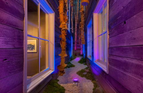 Downtown Asheville Hotel | The Windsor - Asheville