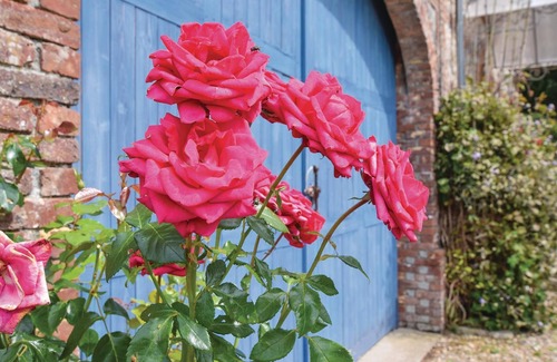 Ancourteville-sur-Hericourt Casa | Alojamiento de 6 habitaciones en Hericourt-en-Caux