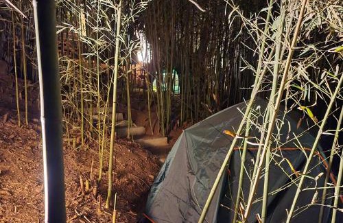 Fianarantsoa Casa | Three Palms Fianar