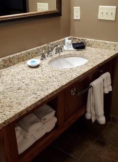 Grand Rapids Hotel | Timberlake Lodge