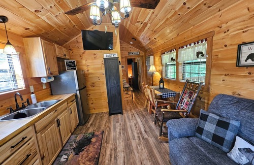 Bryson City Cabina | Tiny Hideaway Cabin mins. from Downtown Bryson City and Deep Creek National Park