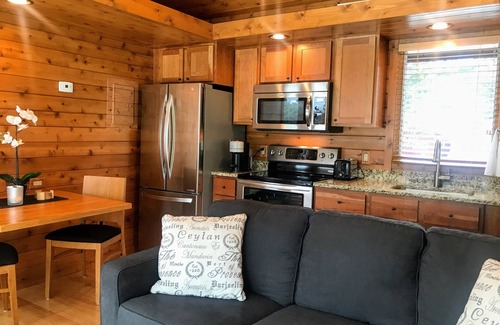 Black River Falls Cabaña | Tiny House on the River