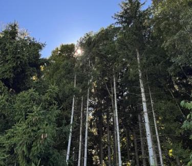 Central Serbia Villa | Topli kutak Golija