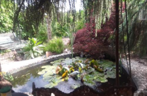 Darnac Cama Y Desayuno | Touch of Spain in Rural France