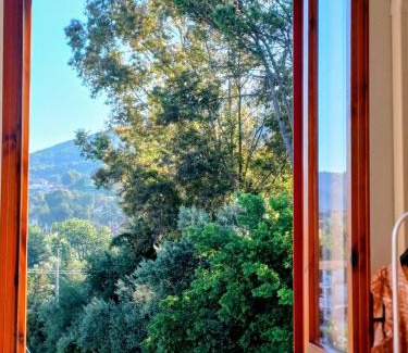 Montecorice Apartamento | Tra mare e collina c'è Belmare
