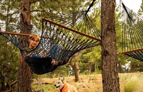 Estes Park Hotel | Trailborn Rocky Mountains
